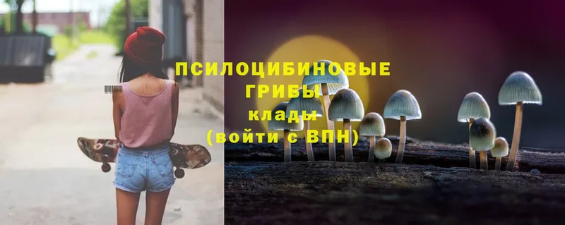 Псилоцибиновые грибы Magic Shrooms  Москва 