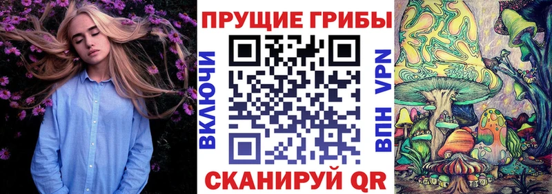 Галлюциногенные грибы прущие грибы  Москва 
