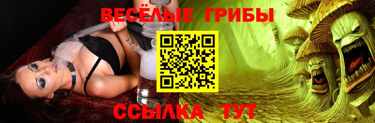 Москва  Галлюциногенные грибы мухоморы  Вход с VPN  Галлюциногенные грибы прущие грибы 