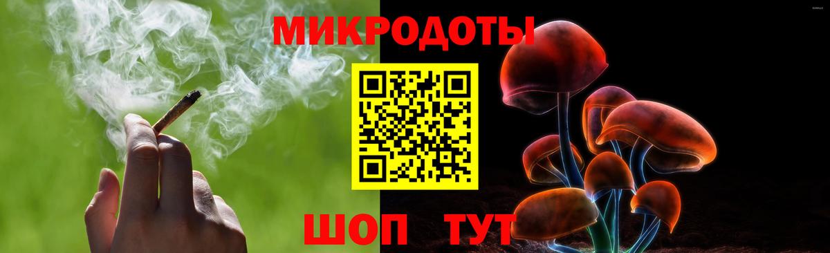 Псилоцибиновые грибы GOLDEN TEACHER  Галлюциногенные грибы мицелий  Москва 